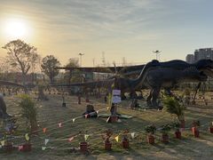 -江门古劳水乡旅游区
