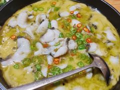 椒麻黑鱼片-滇铺子·云南特色菜·第九届野生菌美食节(东风东路c86店)
