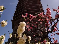 -玲珑塔公园