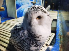 -成都浩海立方海洋公园