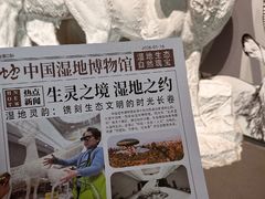 -中国湿地博物馆