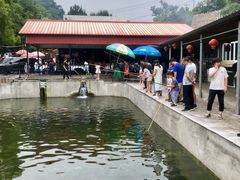 -京北渔家傲
