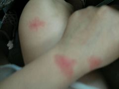 android_upload_pic-7天连锁酒店(北京鼓楼店)