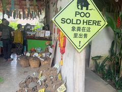 -大象粑粑造纸公园