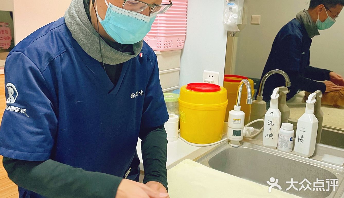 萌兔的一场健康之旅🚢｜关忠动物医院🏥