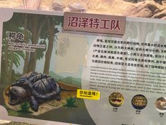 -正佳雨林生态植物园