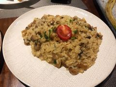 黑松露鲜蘑烩饭-IL Forno 意坊·意大利餐厅(温州万象城店)