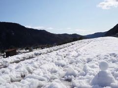 -城崎温泉 外七汤