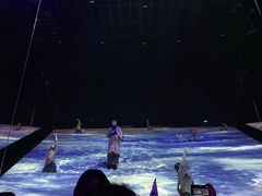 -《12·12》西安事变大型实景演出