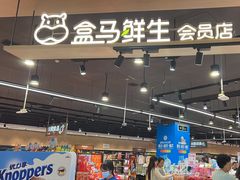 -盒马鲜生(岭南新世界店)