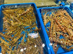 -渔傅·霞浦滩涂海鲜(建平店)