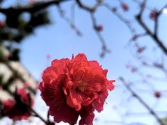 -皇家御河游(紫御湾码头)