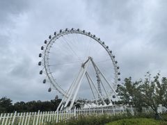 -日照海滨国家森林公园