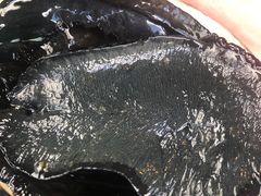 -渔洲情海鲜酒家