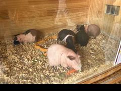 -珠海海泉湾神秘岛亲子乐园