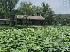 -承德避暑山庄景区