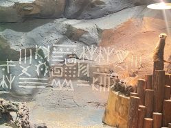 -Zoolung Zoolung动物主题公园(海信广场店)