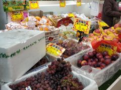 零售区-猴子果园(计家桥小区店)