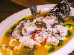 -新悦·霞浦海鲜生(上下杭店)