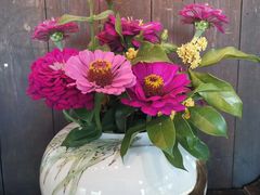 -徽三说·土徽菜·中国徽菜连锁品牌(一中店)