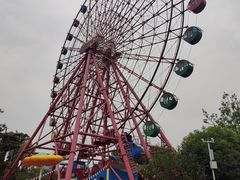-南湖梦幻岛