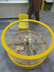 -神奇动物撸宠馆·羊驼·小浣熊·异宠(豫园店)