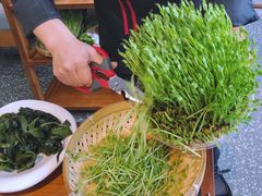 活体豆苗-廣順興(平原路店)