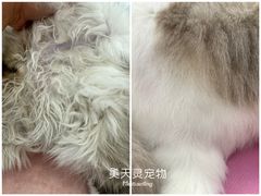 -FAELING PETS美天灵宠物(合生汇店)