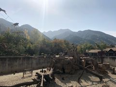 -西安秦岭野生动物园