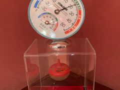 -程府宴(南长街四合院店)