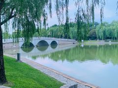-陶然亭公园