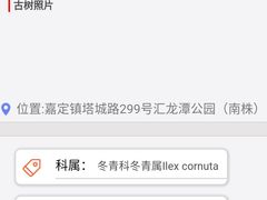 -汇龙潭