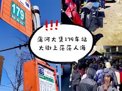 -蒲河大集