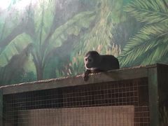 -西安秦岭野生动物园