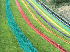 -梦幻奥陶纪景区