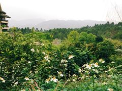 -广州锦绣香江度假别墅
