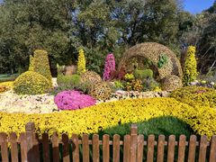 -上海共青森林公园