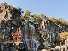 -金鸡山公园
