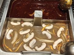 纯纯纯牛油锅-海底捞火锅(公益西桥店)