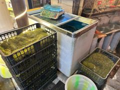 -鸿顺老铁锅美蛙鱼府(解放碑店)