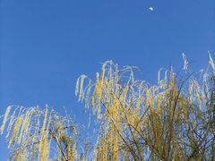 -郑州银基黄帝宫御温泉