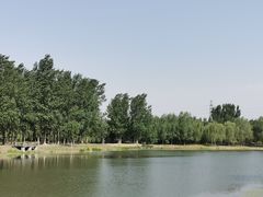 -东郊湿地公园