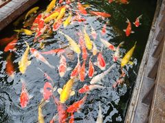 -顺德渔村·岭南一号