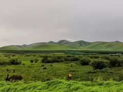 -塞罕坝国家级自然保护区