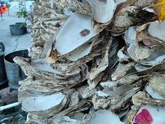 -土蚝·高压锅生蚝(百姓美食街店)