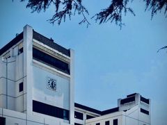 -武汉大学-樱园