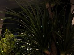 -West10 西拾·西餐厅·创意菜(未来科技城店)