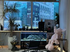 -MONANA蛋糕研究所