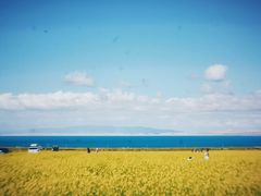 -青海湖国家重点风景名胜区