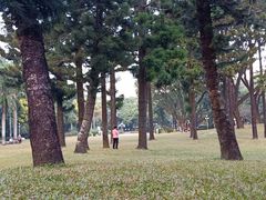 -人民公园(罗湖区)